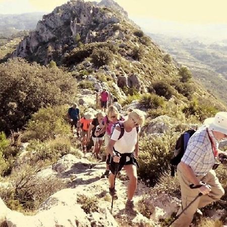 One Bed Apartment Overlooking Jalon Valley, Costa Blanca Alcalalí المظهر الخارجي الصورة