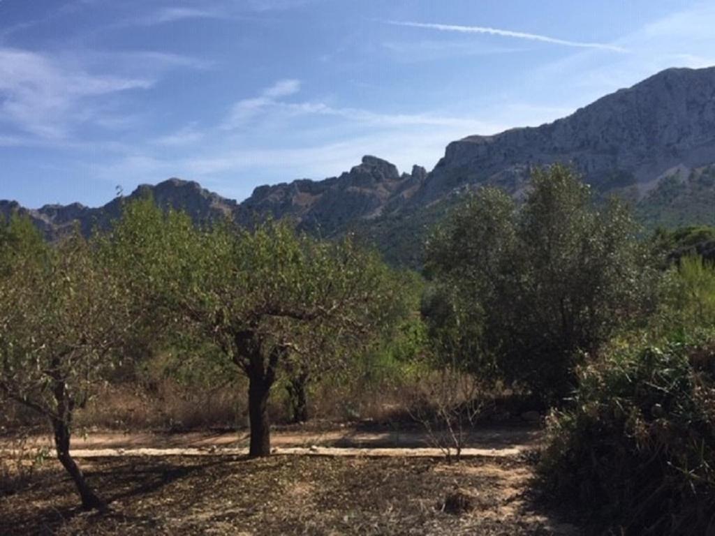One Bed Apartment Overlooking Jalon Valley, Costa Blanca Alcalalí المظهر الخارجي الصورة