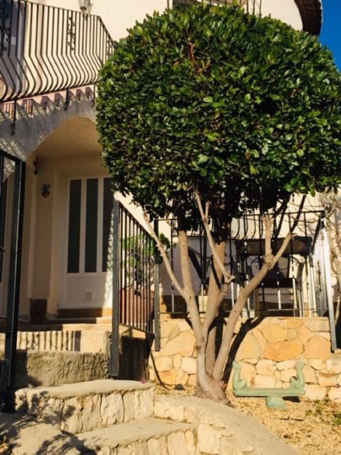 One Bed Apartment Overlooking Jalon Valley, Costa Blanca Alcalalí المظهر الخارجي الصورة