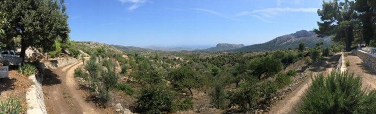 One Bed Apartment Overlooking Jalon Valley, Costa Blanca Alcalalí المظهر الخارجي الصورة