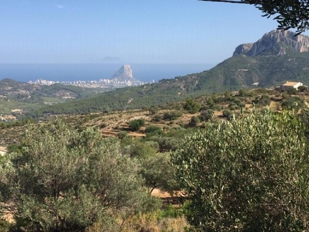 One Bed Apartment Overlooking Jalon Valley, Costa Blanca Alcalalí المظهر الخارجي الصورة