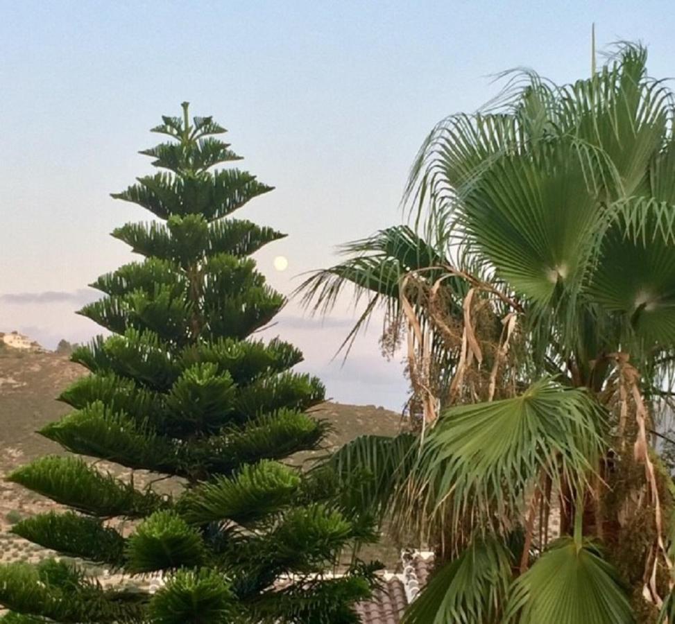 One Bed Apartment Overlooking Jalon Valley, Costa Blanca Alcalalí المظهر الخارجي الصورة